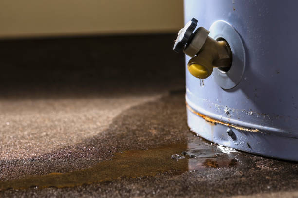 Best Basement water damage restoration  in USA